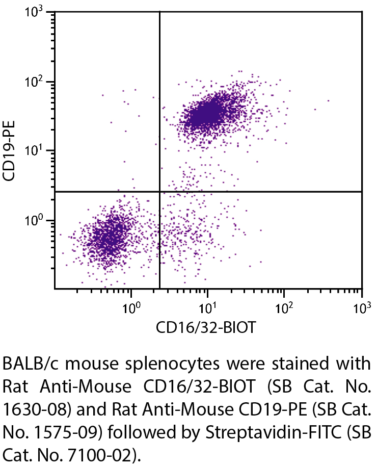 Rat Anti-Mouse CD16/32-BIOT - 0.5 mg