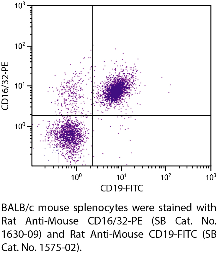 Rat Anti-Mouse CD16/32-PE - 0.1 mg