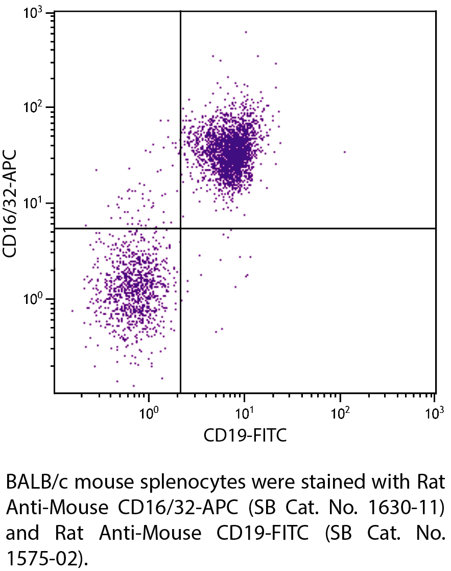 Rat Anti-Mouse CD16/32-APC - 0.1 mg