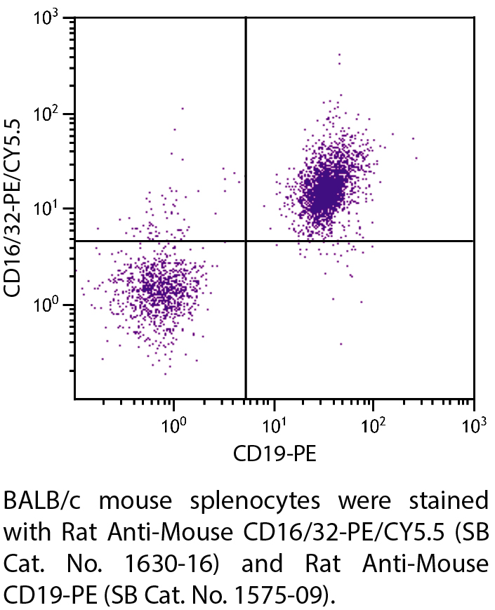 Rat Anti-Mouse CD16/32-PE/CY5.5 - 0.1 mg