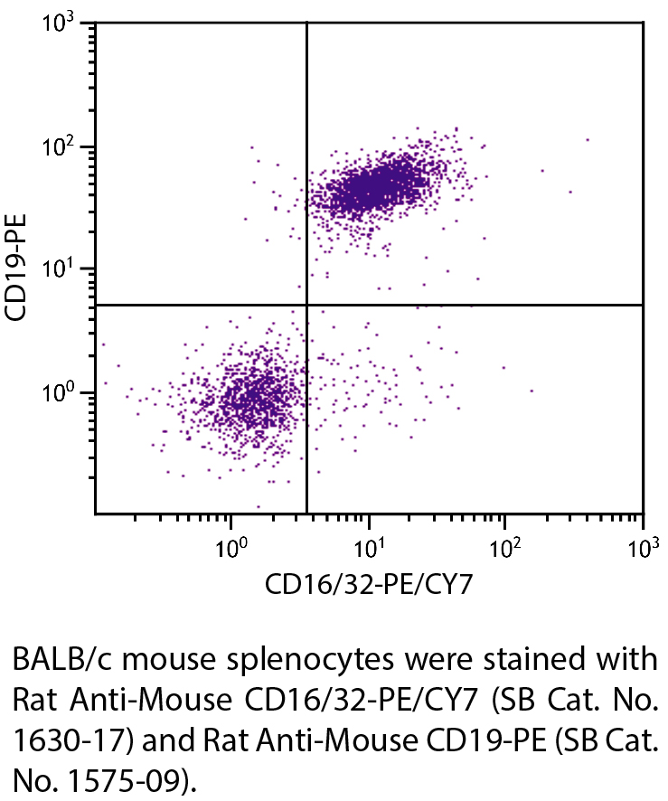 Rat Anti-Mouse CD16/32-PE/CY7 - 0.1 mg