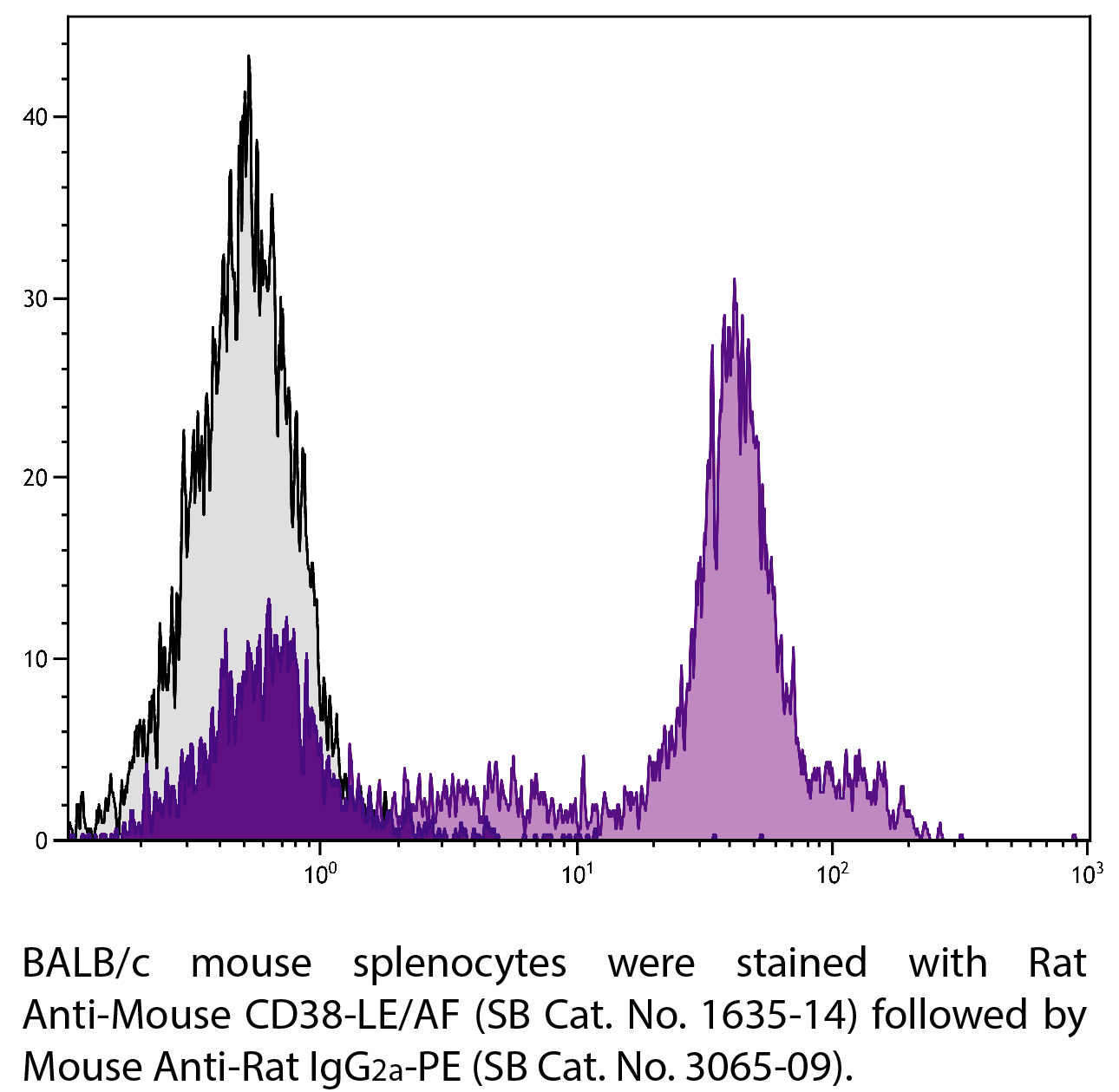 Rat Anti-Mouse CD38-LE/AF - 0.5 mg