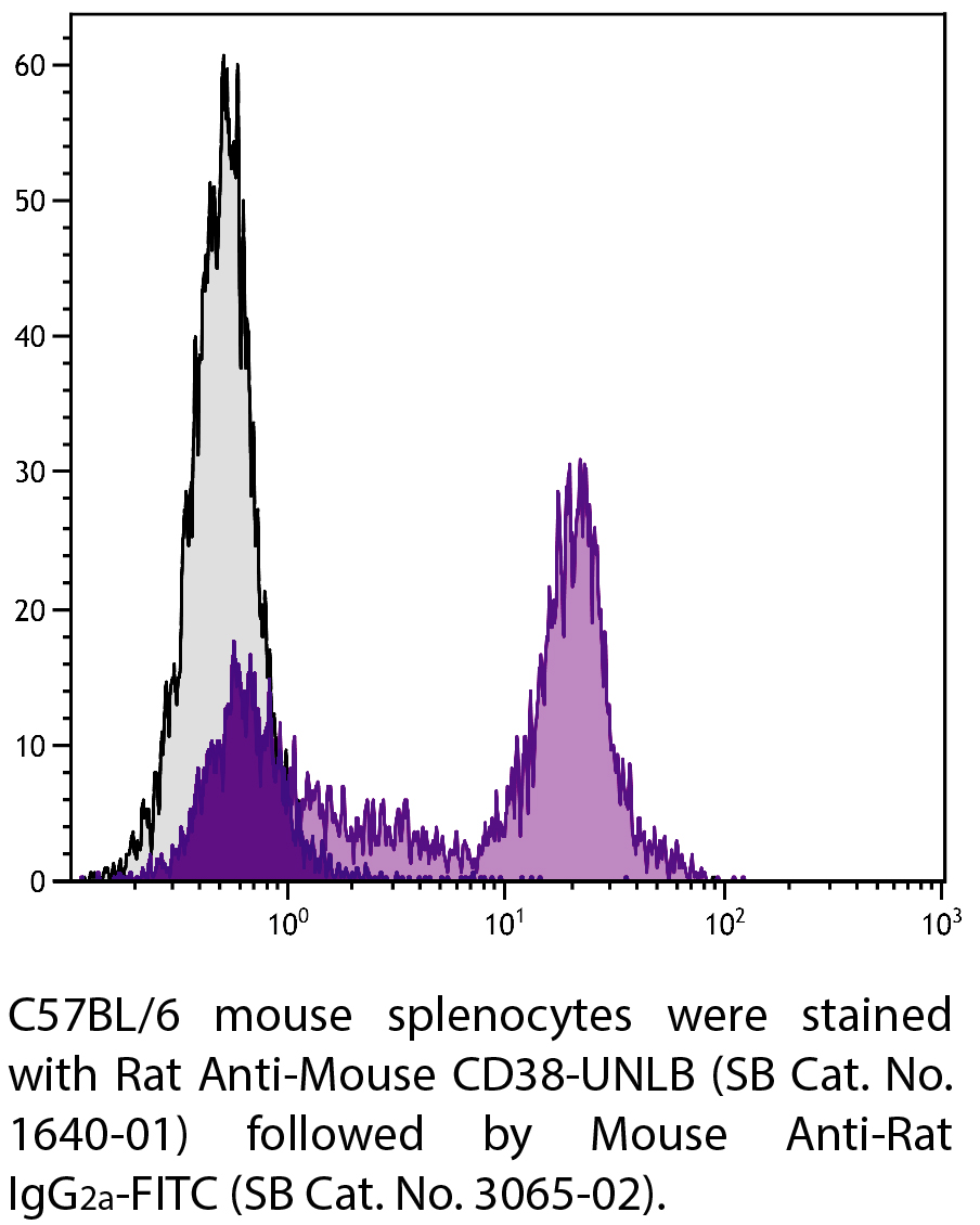 Rat Anti-Mouse CD38-UNLB - 0.5 mg