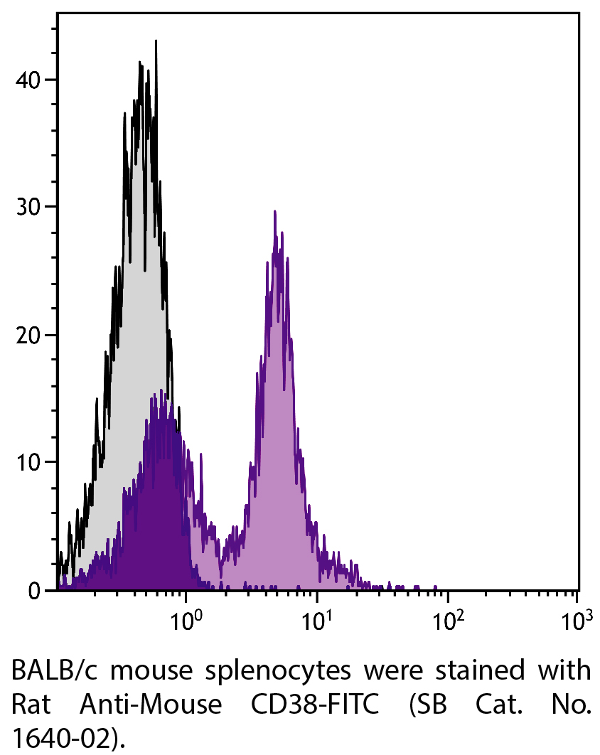 Rat Anti-Mouse CD38-FITC - 0.5 mg