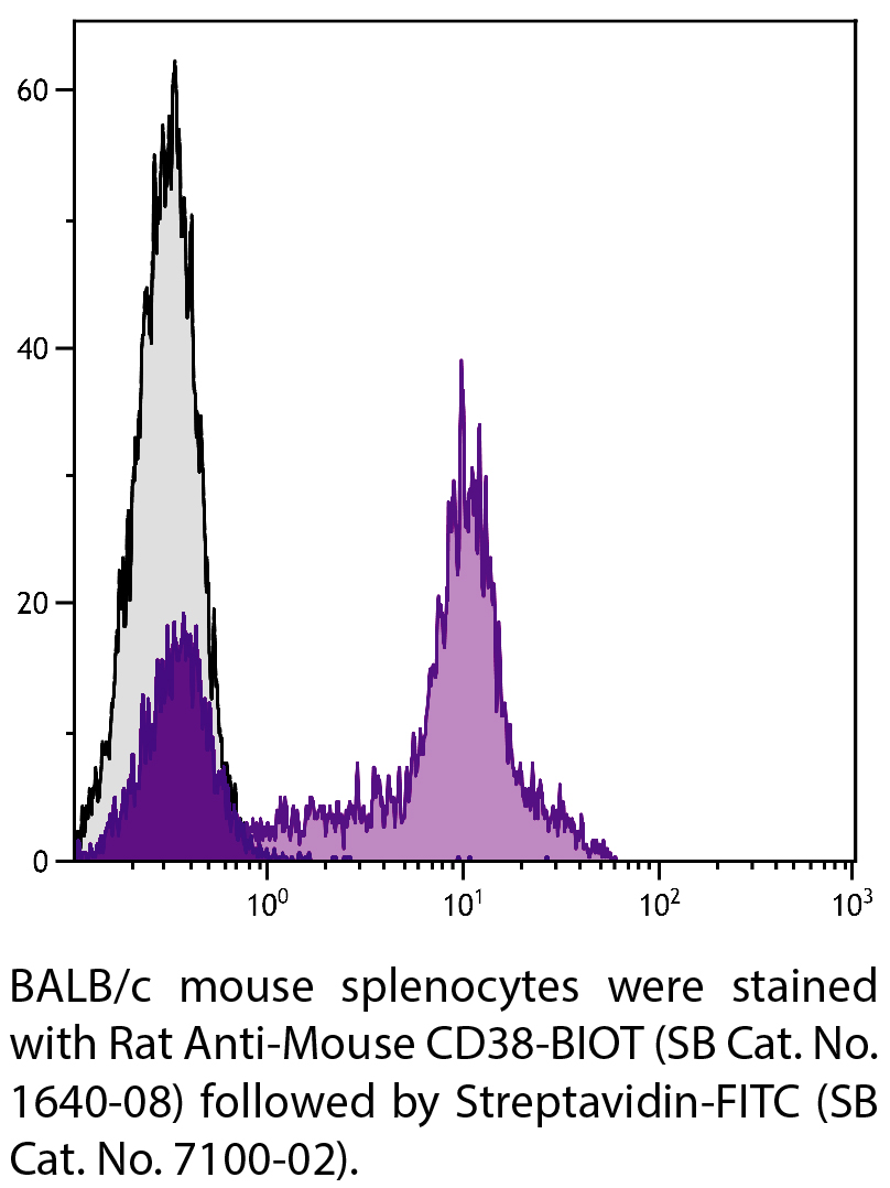 Rat Anti-Mouse CD38-BIOT - 0.5 mg