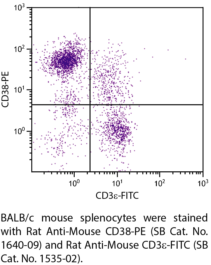 Rat Anti-Mouse CD38-PE - 0.1 mg