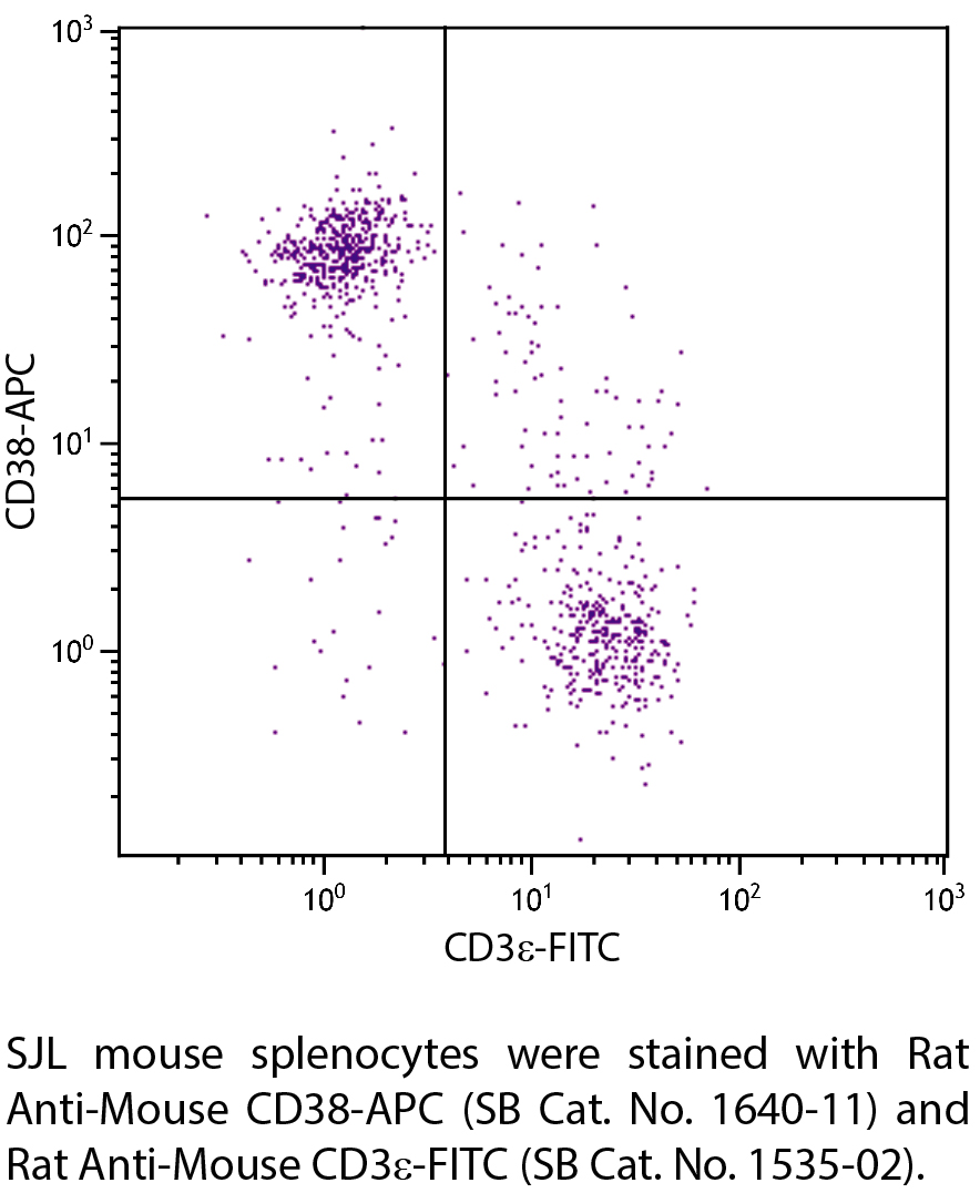 Rat Anti-Mouse CD38-APC - 0.1 mg