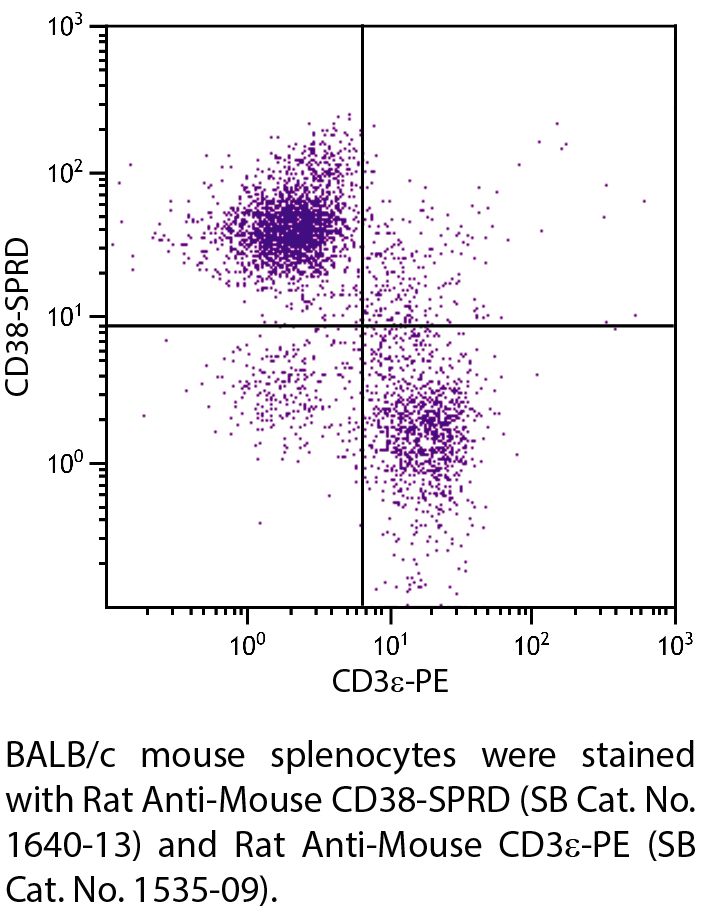 Rat Anti-Mouse CD38-SPRD - 0.1 mg