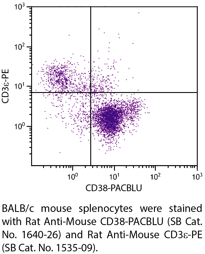 Rat Anti-Mouse CD38-PACBLU - 0.1 mg