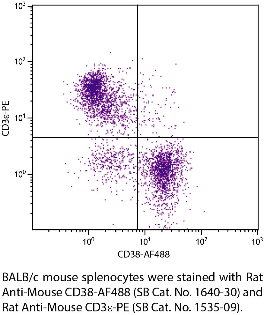 Rat Anti-Mouse CD38-AF488 - 0.1 mg