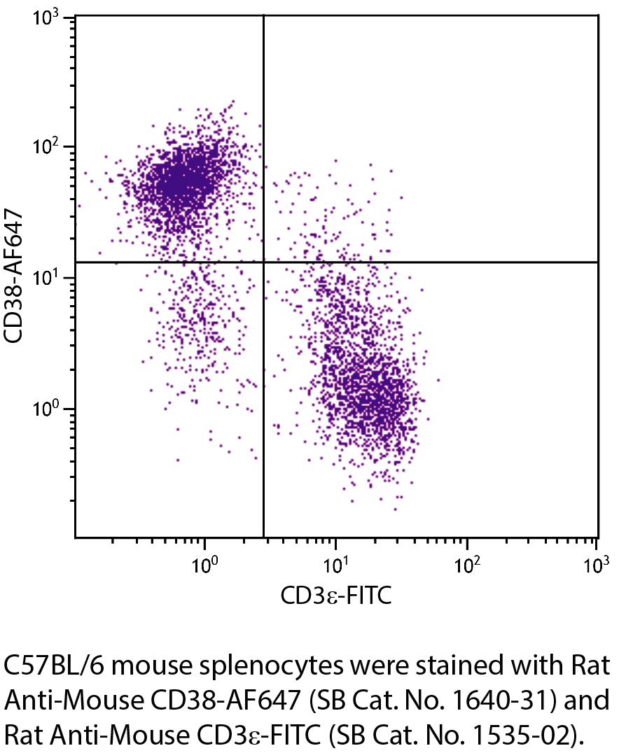 Rat Anti-Mouse CD38-AF647 - 0.1 mg