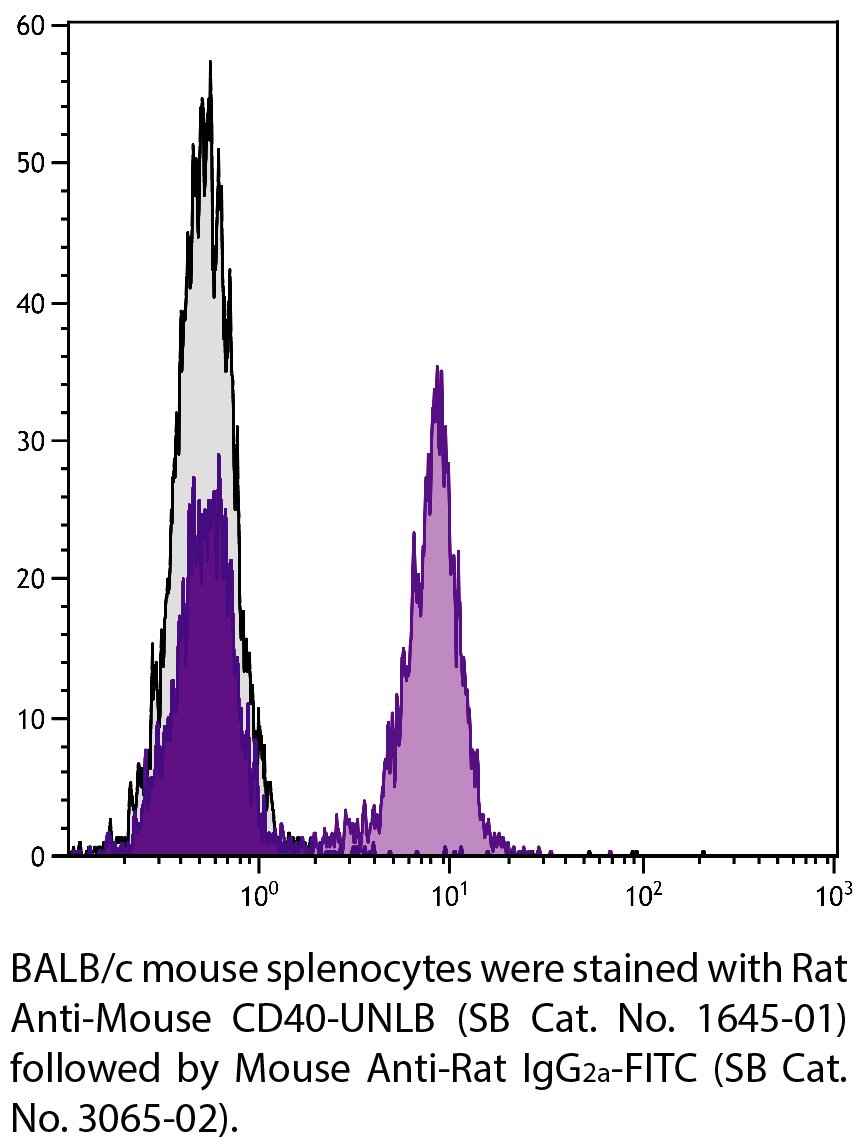 Rat Anti-Mouse CD40-UNLB - 0.5 mg