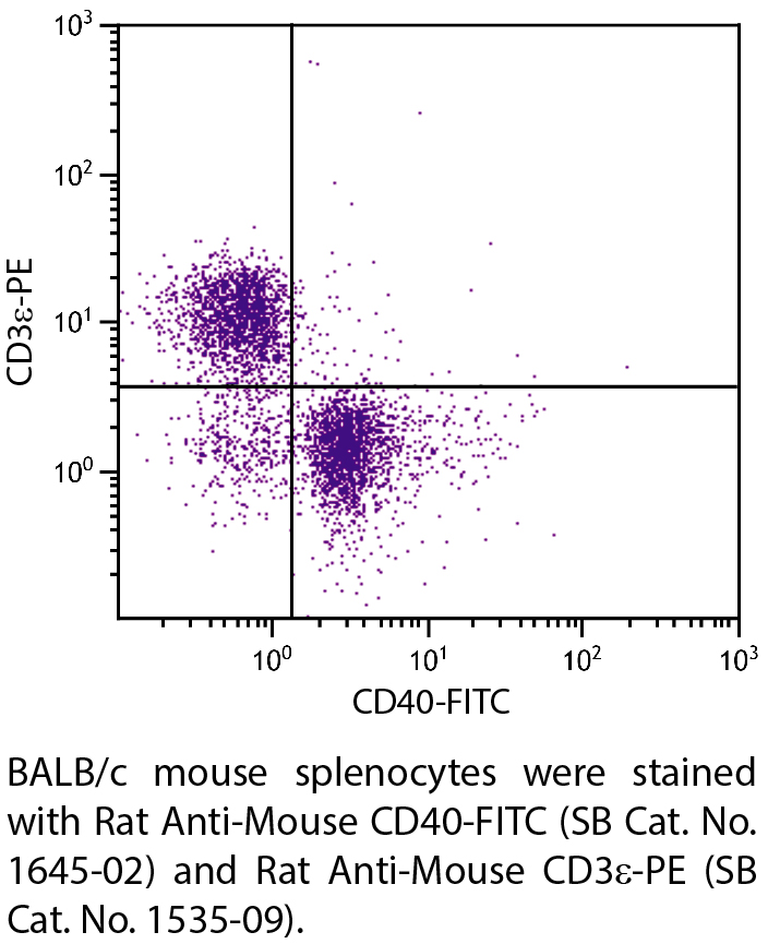 Rat Anti-Mouse CD40-FITC - 0.5 mg