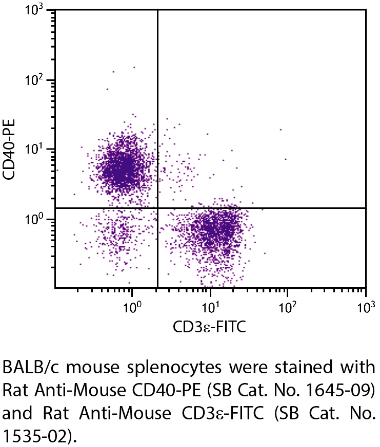 Rat Anti-Mouse CD40-PE - 0.1 mg