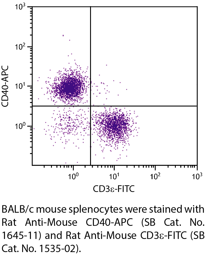 Rat Anti-Mouse CD40-APC - 0.1 mg