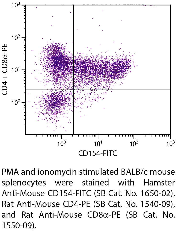 Hamster Anti-Mouse CD154-FITC - 0.5 mg
