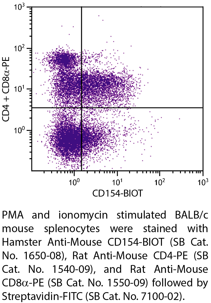 Hamster Anti-Mouse CD154-BIOT - 0.5 mg