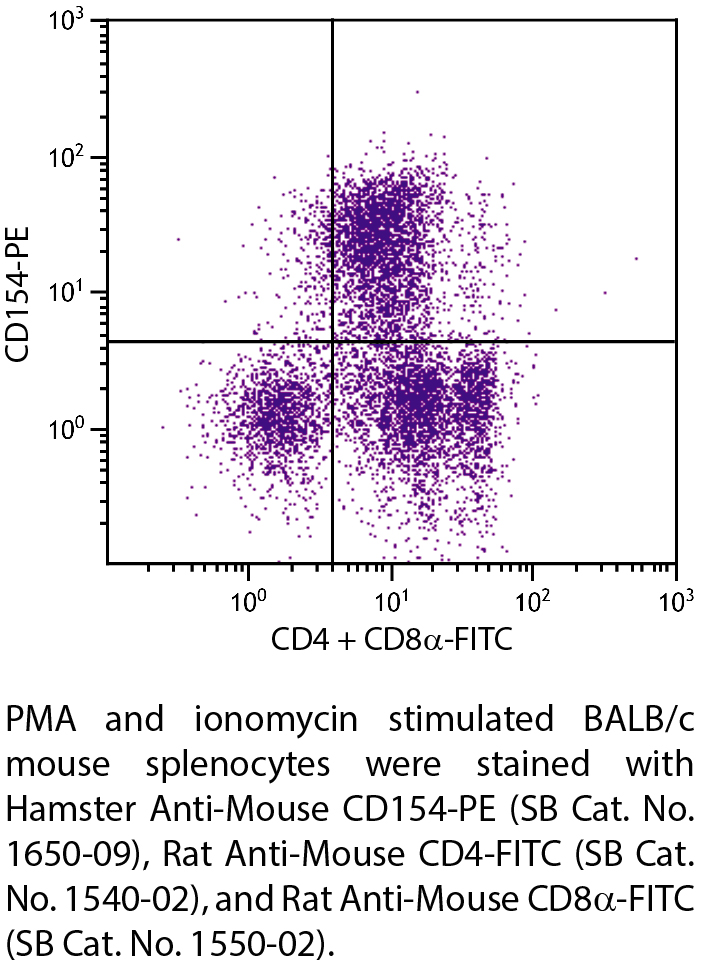 Hamster Anti-Mouse CD154-PE - 0.1 mg