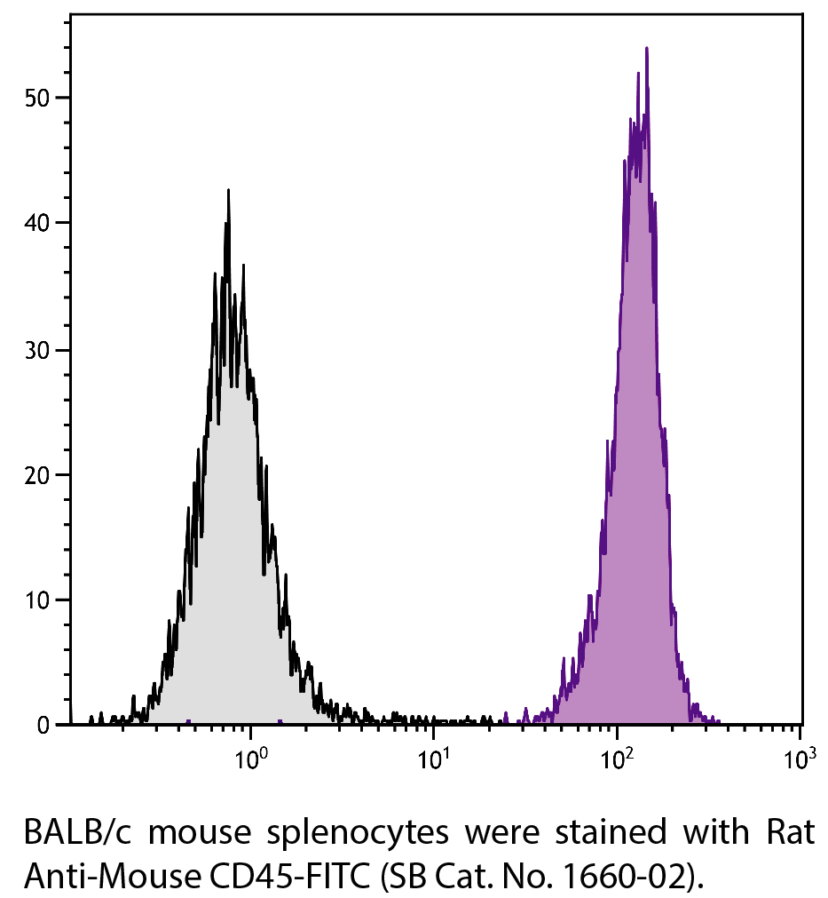 Rat Anti-Mouse CD45-FITC - 0.5 mg