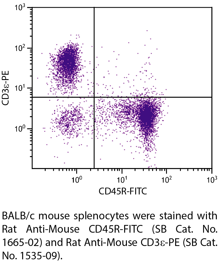 Rat Anti-Mouse CD45R-FITC - 0.5 mg