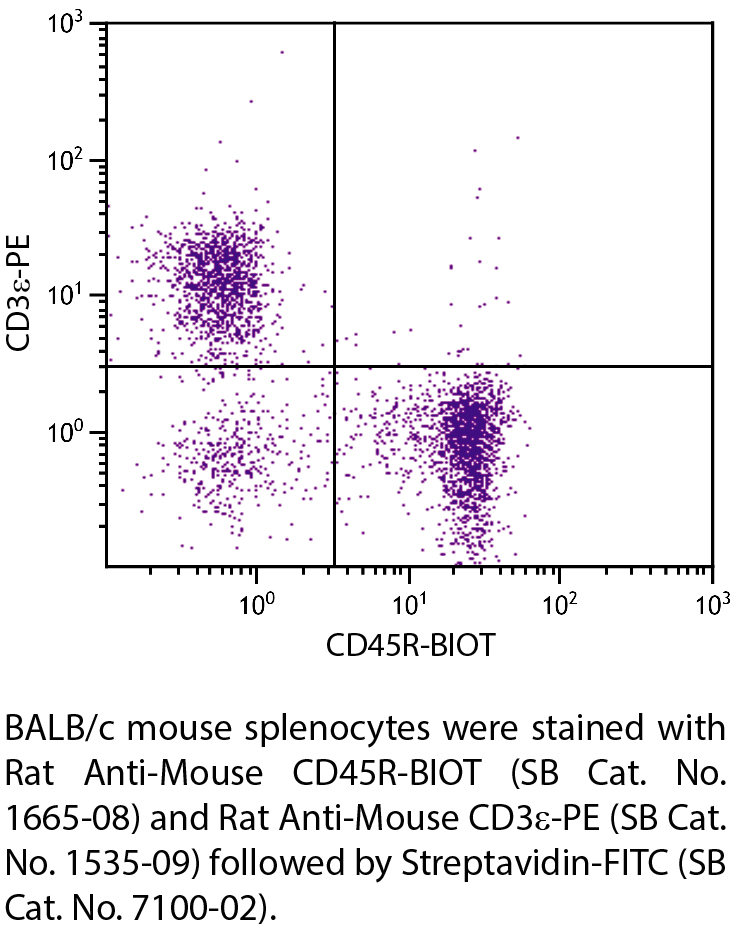 Rat Anti-Mouse CD45R-BIOT - 0.5 mg