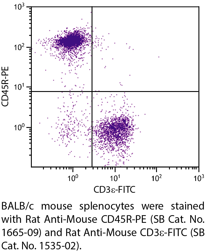 Rat Anti-Mouse CD45R-PE - 0.1 mg