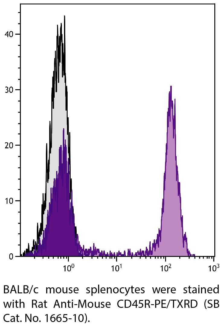 Rat Anti-Mouse CD45R-PE/TXRD - 0.1 mg