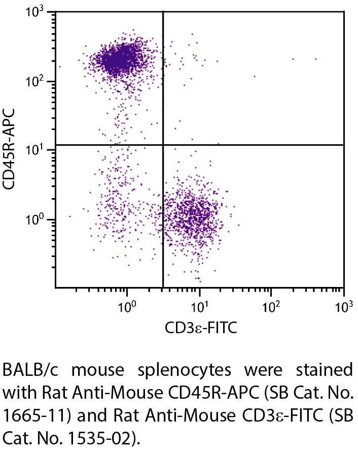 Rat Anti-Mouse CD45R-APC - 0.1 mg