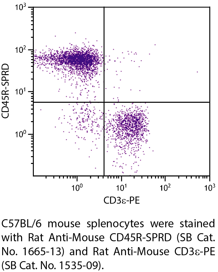 Rat Anti-Mouse CD45R-SPRD - 0.1 mg