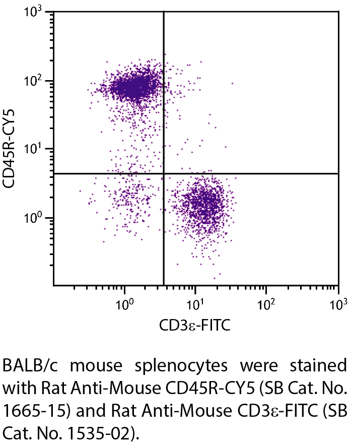 Rat Anti-Mouse CD45R-CY5 - 0.1 mg