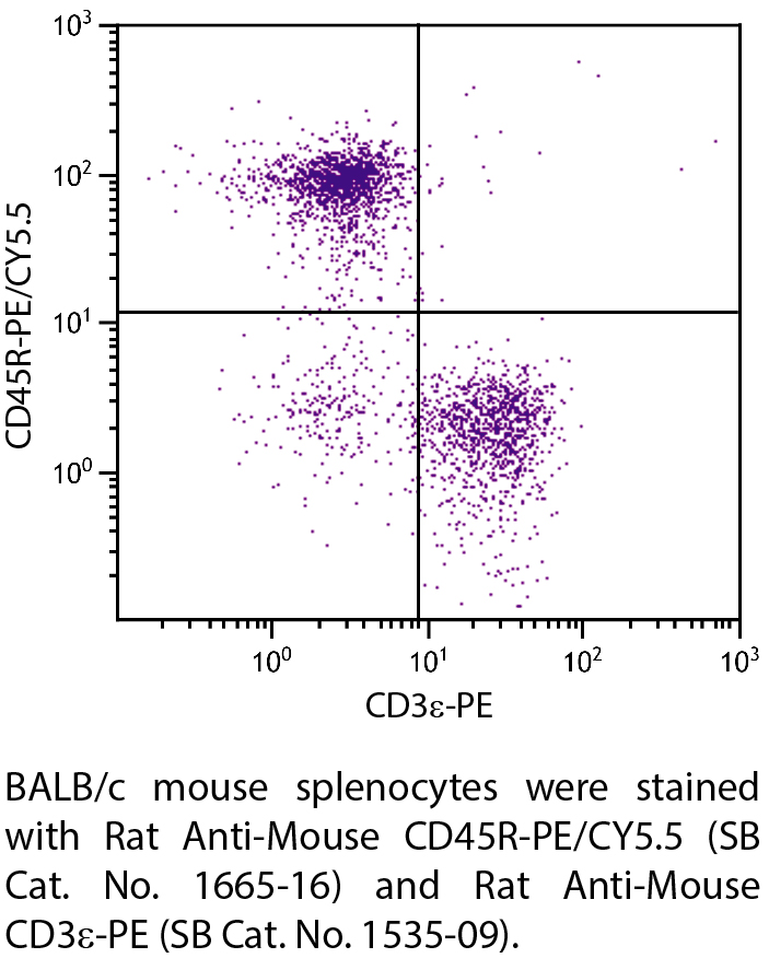 Rat Anti-Mouse CD45R-PE/CY5.5 - 0.1 mg