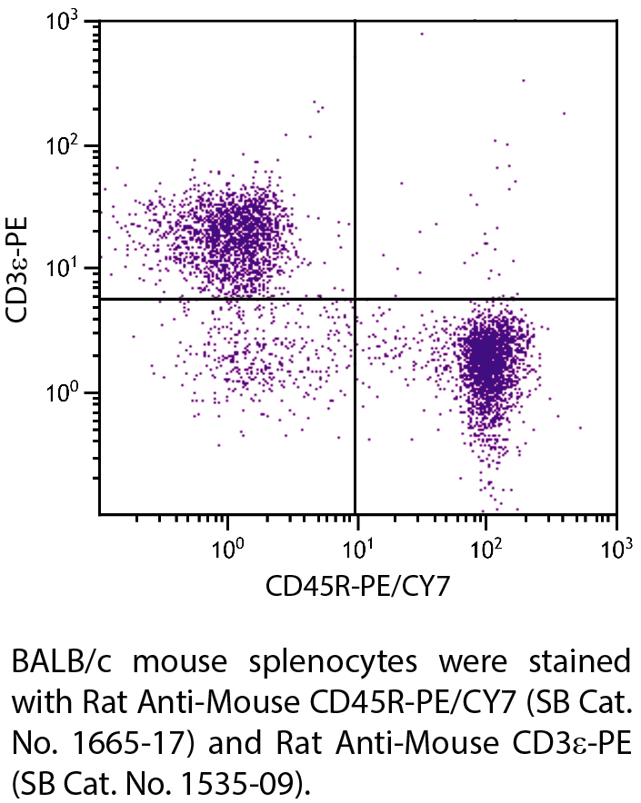 Rat Anti-Mouse CD45R-PE/CY7 - 0.1 mg