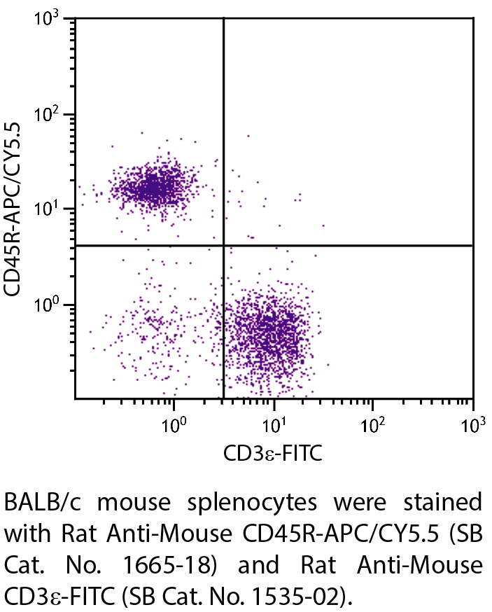 Rat Anti-Mouse CD45R-APC/CY5.5 - 0.1 mg