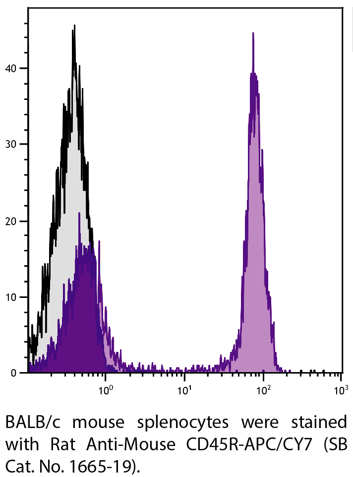 Rat Anti-Mouse CD45R-APC/CY7 - 0.1 mg