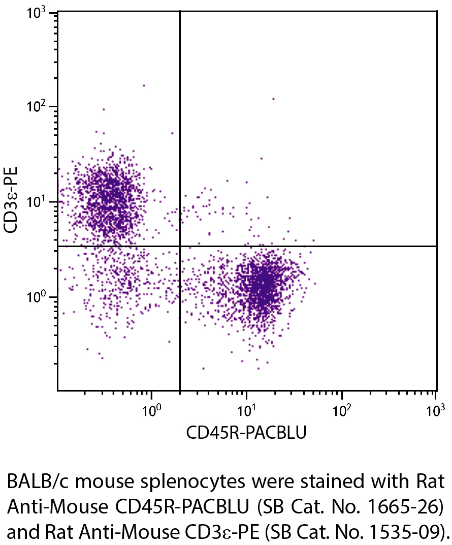 Rat Anti-Mouse CD45R-PACBLU - 0.1 mg