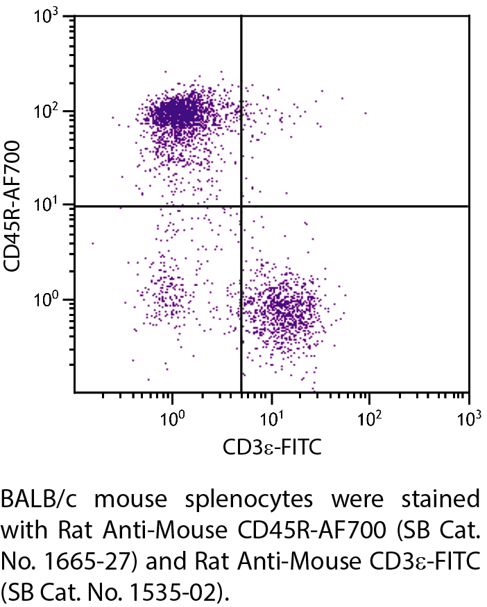 Rat Anti-Mouse CD45R-AF700 - 0.1 mg