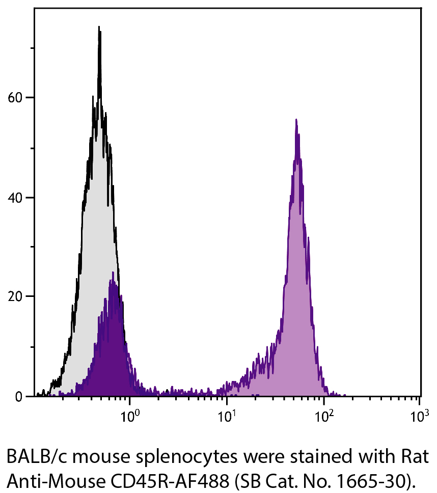 Rat Anti-Mouse CD45R-AF488 - 0.1 mg