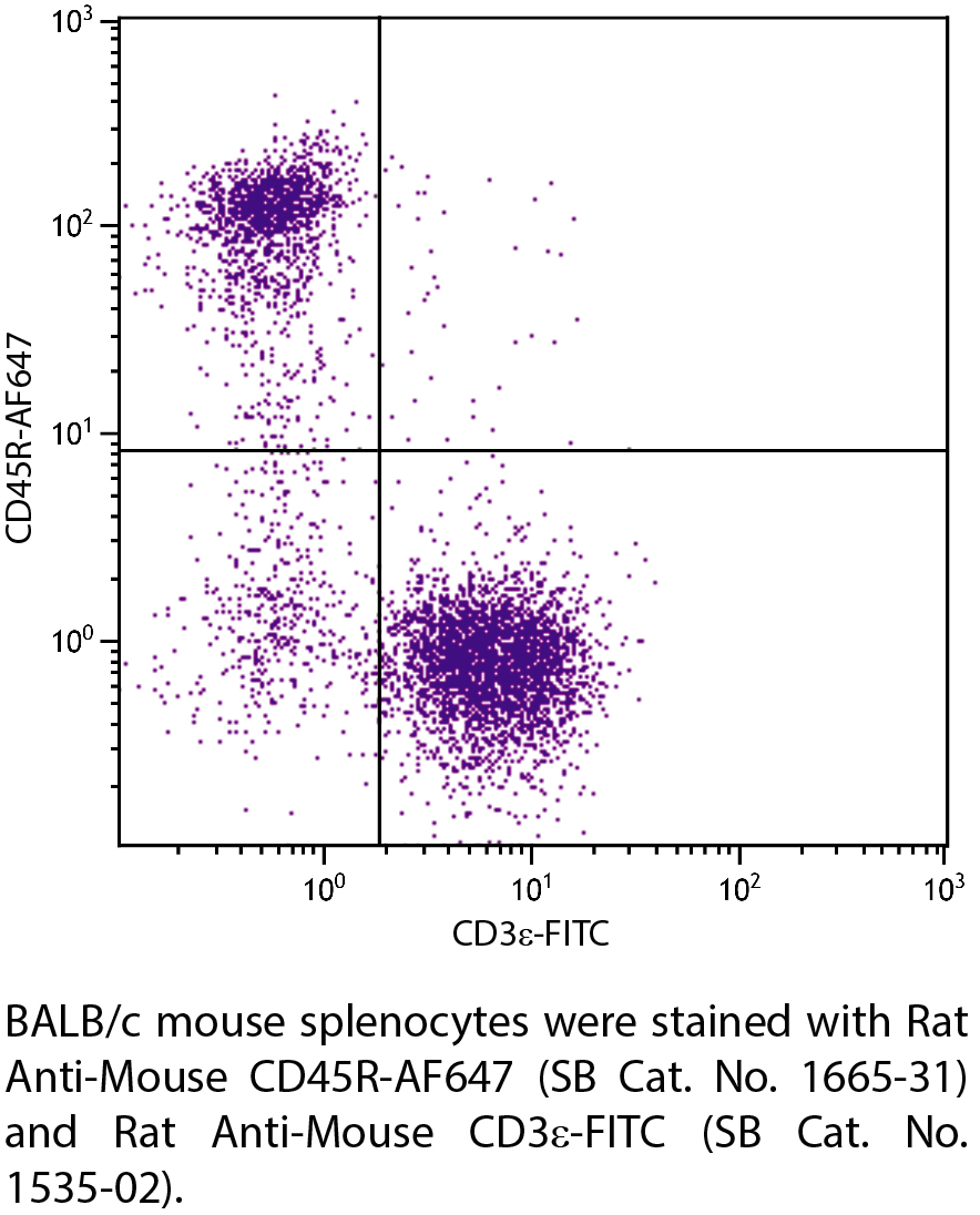 Rat Anti-Mouse CD45R-AF647 - 0.1 mg