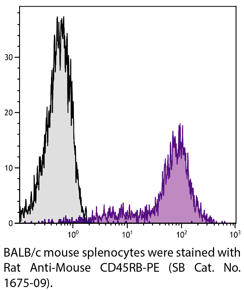 Rat Anti-Mouse CD45RB-PE - 0.1 mg