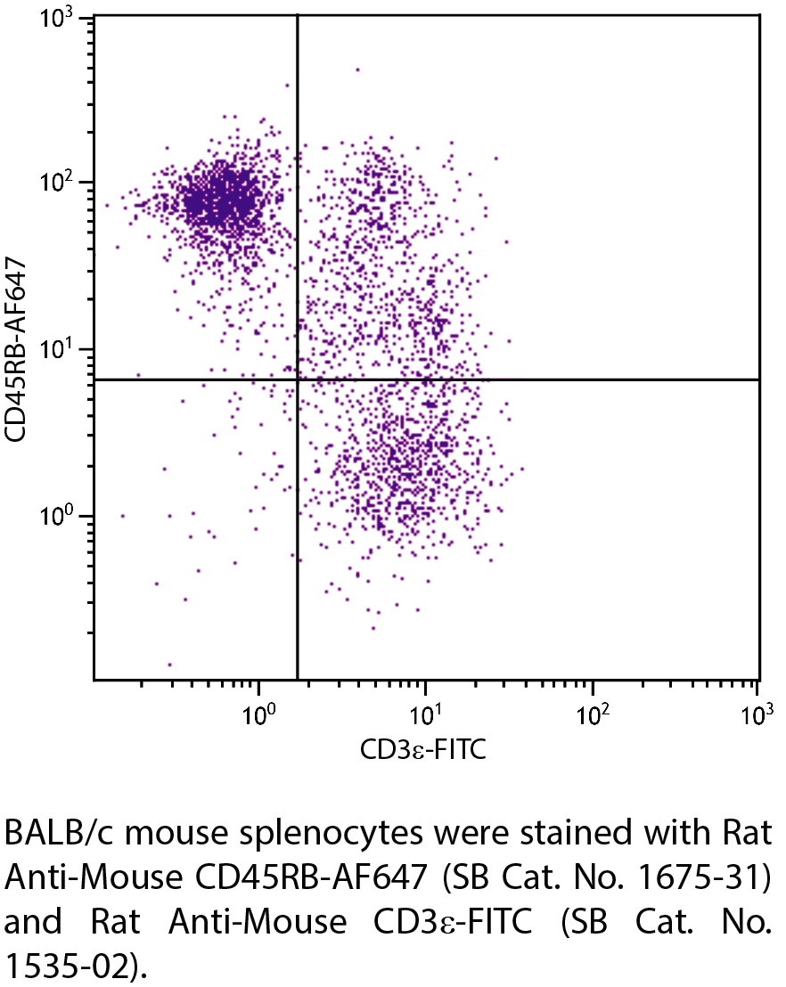 Rat Anti-Mouse CD45RB-AF647 - 0.1 mg