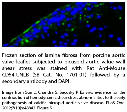 Rat Anti-Mouse CD54-UNLB - 0.5 mg