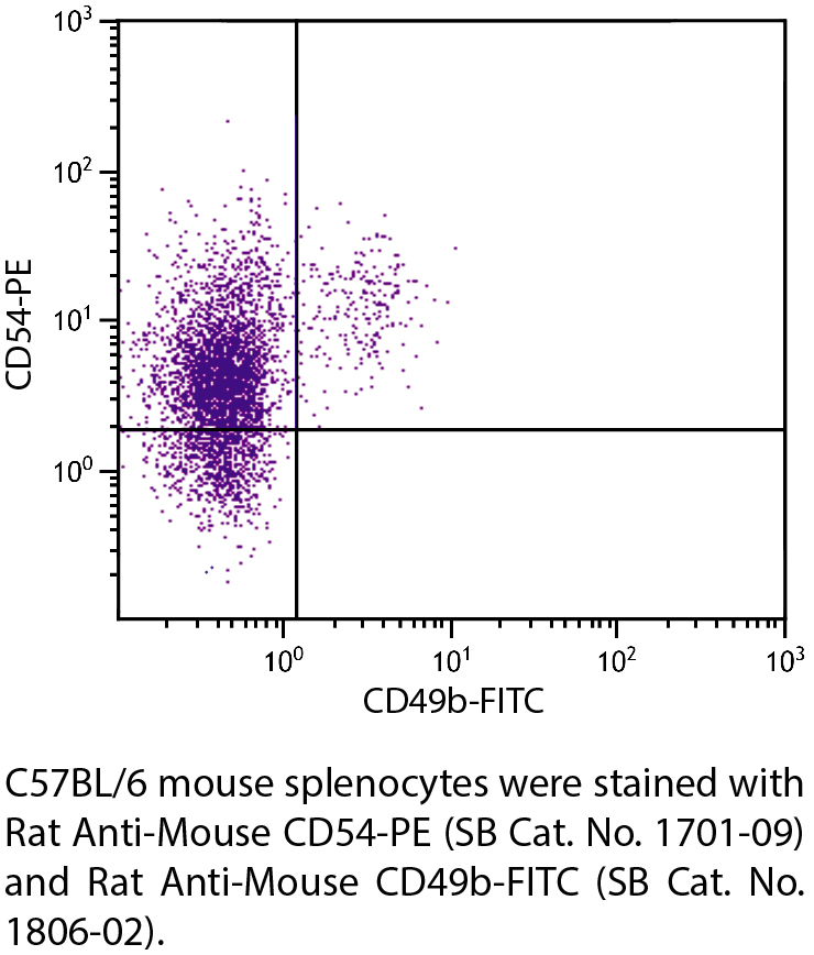 Rat Anti-Mouse CD54-PE - 0.1 mg