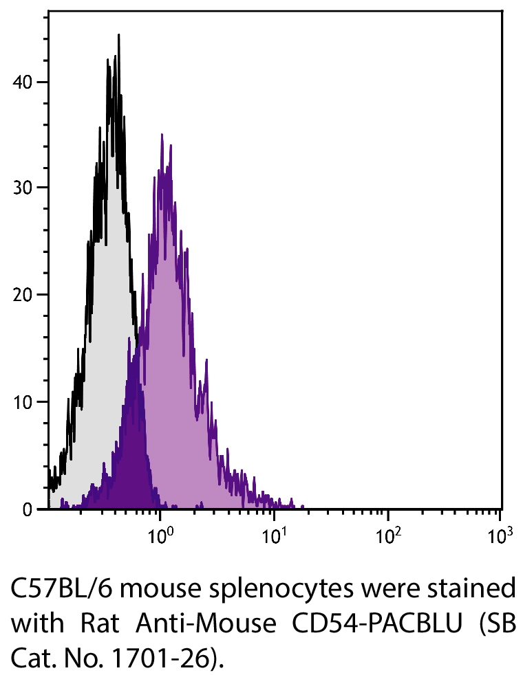 Rat Anti-Mouse CD54-PACBLU - 0.1 mg