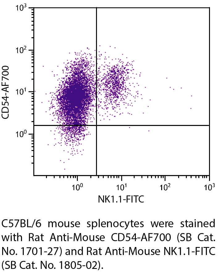 Rat Anti-Mouse CD54-AF700 - 0.1 mg