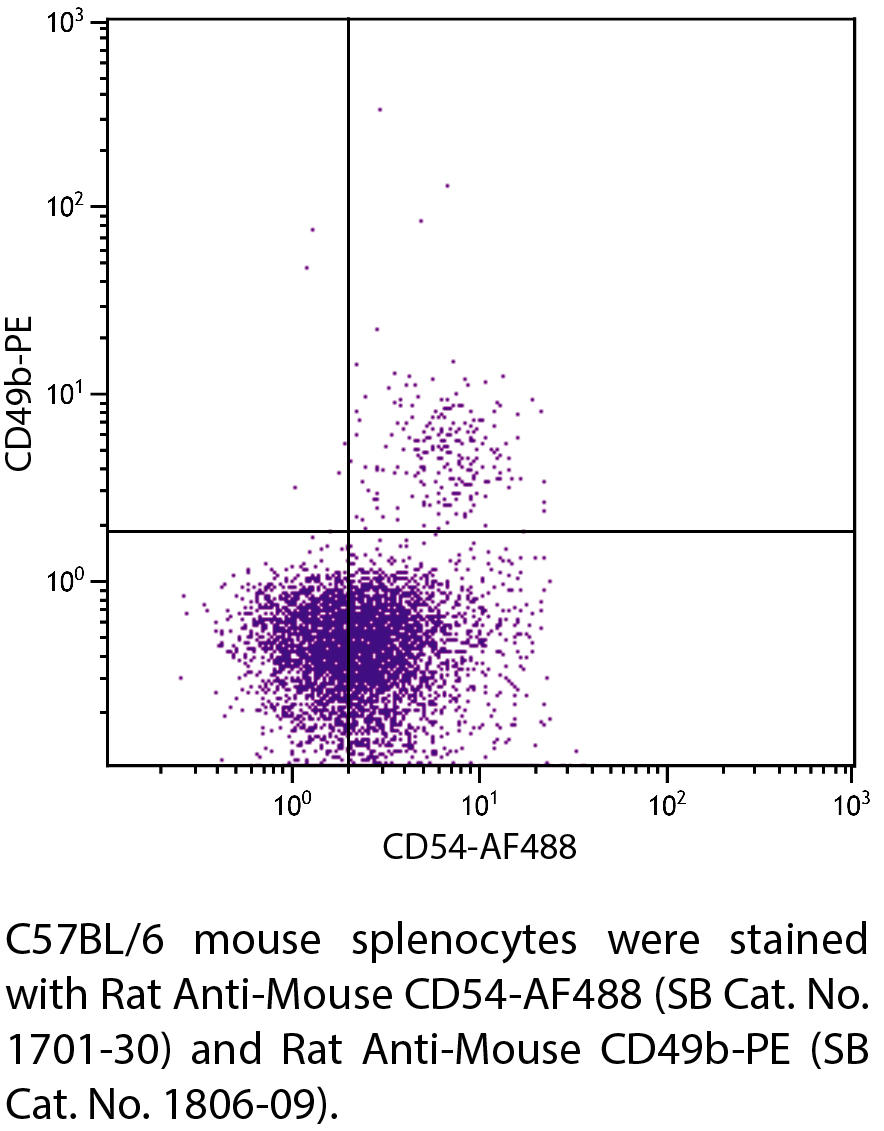 Rat Anti-Mouse CD54-AF488 - 0.1 mg