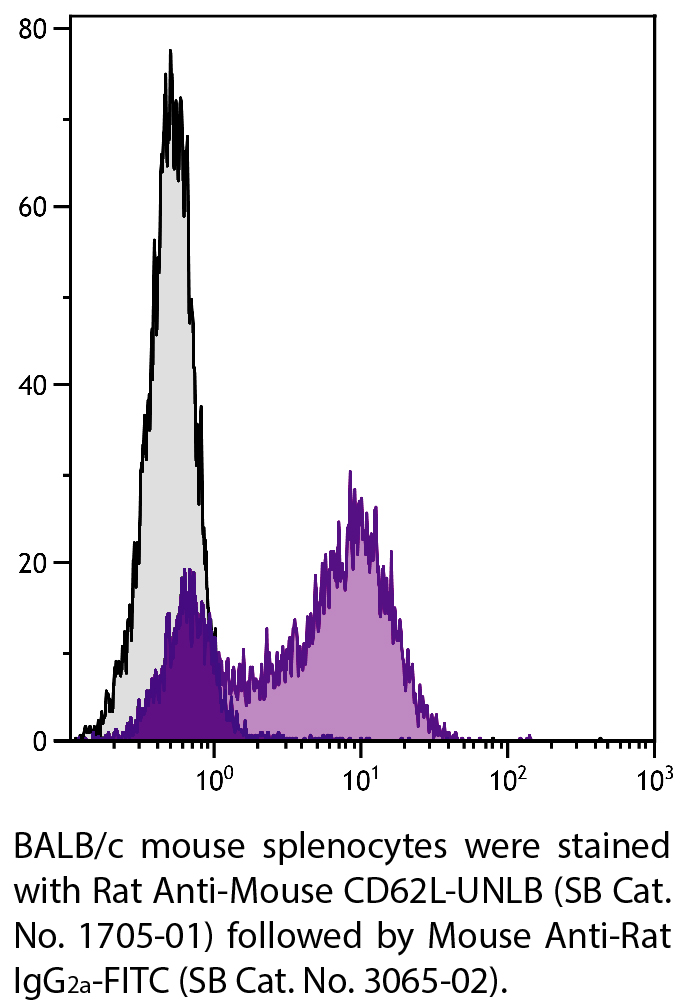 Rat Anti-Mouse CD62L-UNLB - 0.5 mg