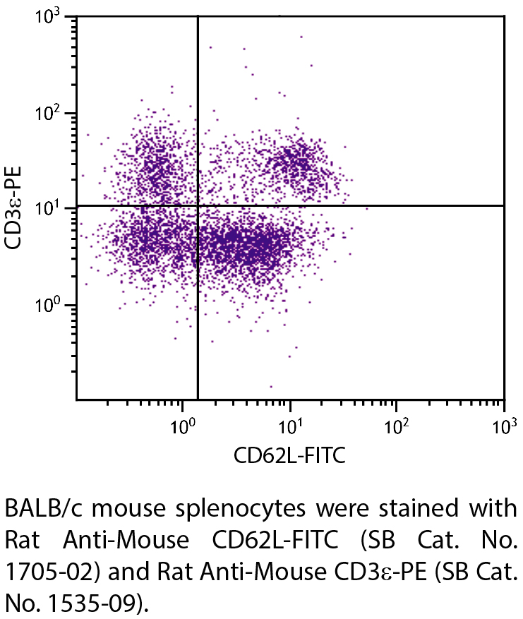 Rat Anti-Mouse CD62L-FITC - 0.5 mg