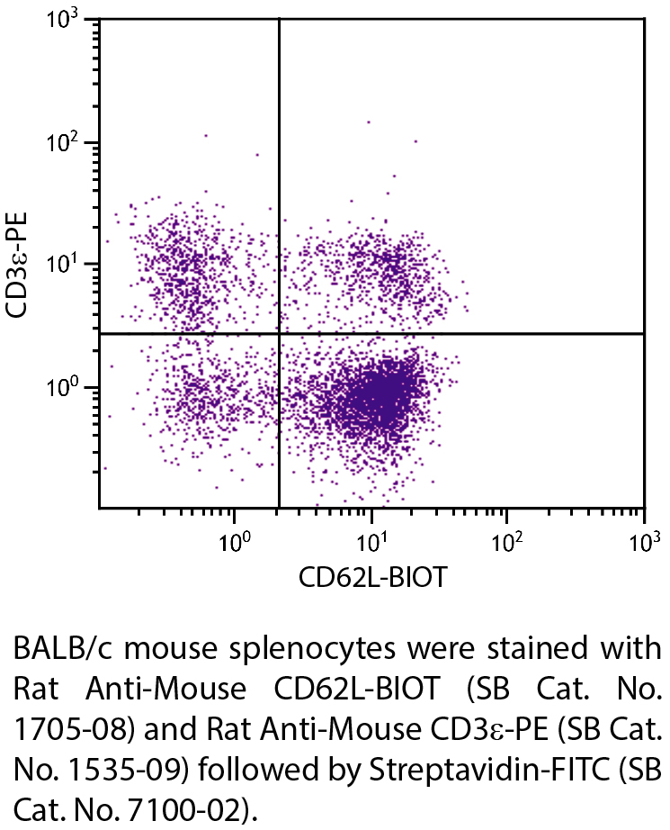 Rat Anti-Mouse CD62L-BIOT - 0.5 mg