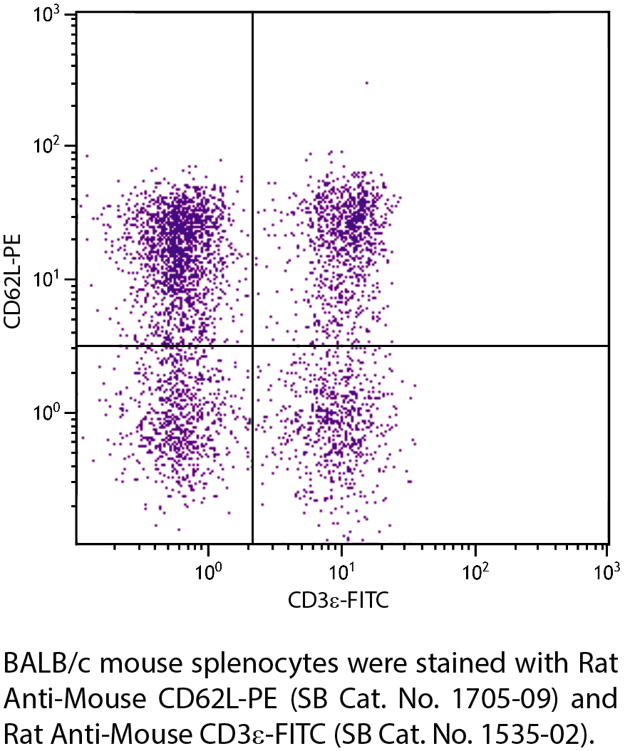 Rat Anti-Mouse CD62L-PE - 0.1 mg