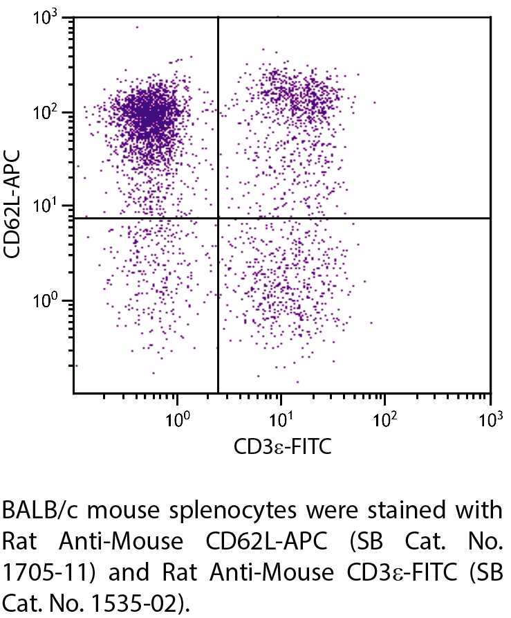 Rat Anti-Mouse CD62L-APC - 0.1 mg